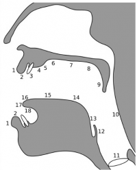 grafik1